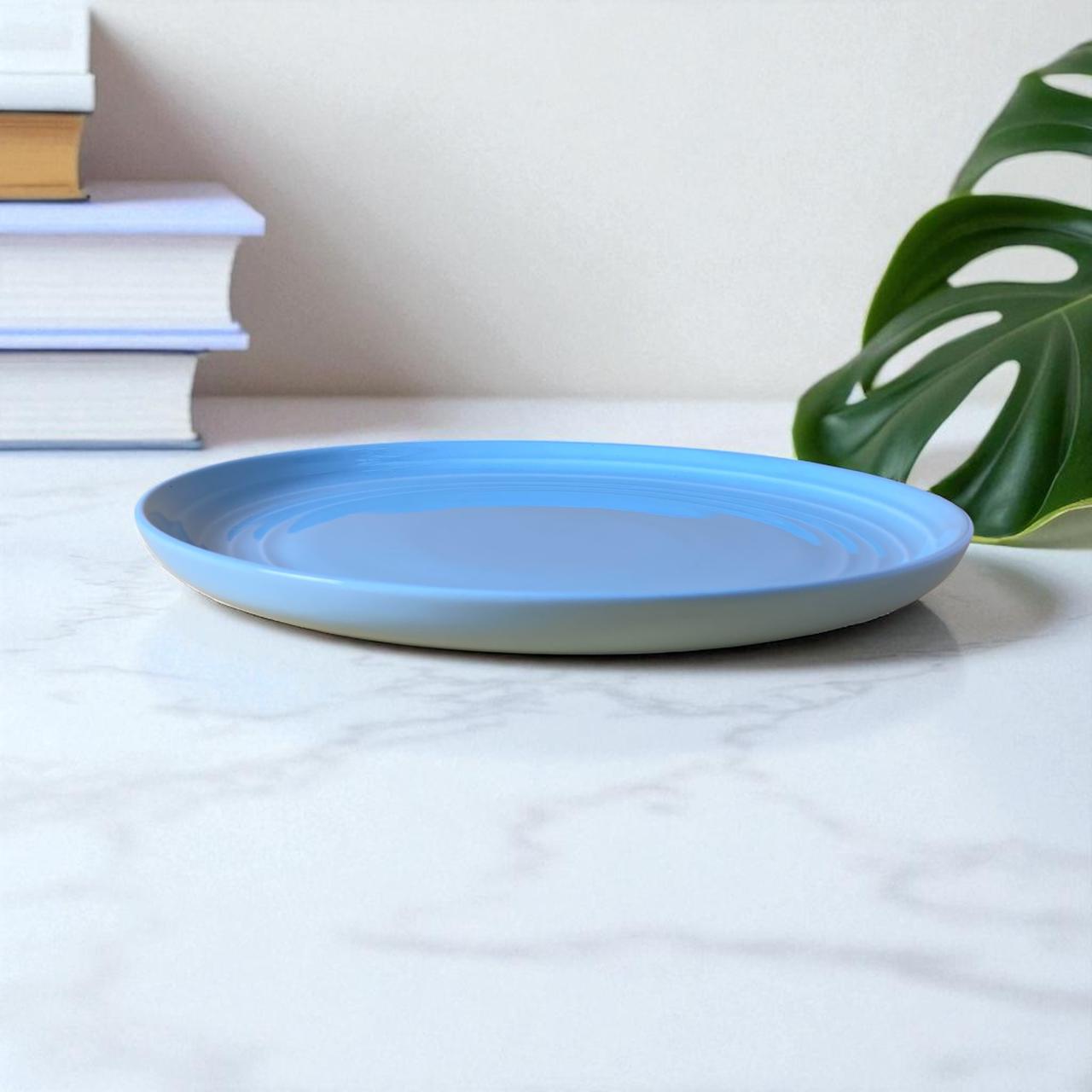 Mist Grey Ring Dinner Plate