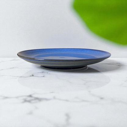 Speckle Blue Dinner Plate