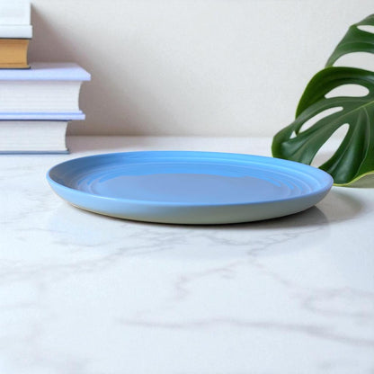 Mist Grey Ring Dinner Plate